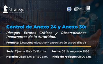 Control de Anexo 24 y Anexo 30: Riesgos, Errores Críticos y Observaciones Recurrentes de la Autoridad.